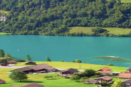 ������ؔ�Ĺ�˾���Q