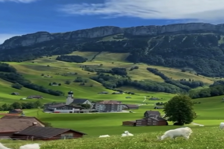 ��ע��һ����˾��ô����