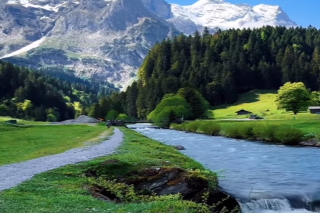 �����¹�˾������ôȡ