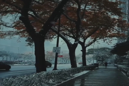 ��˾���Q���δ��