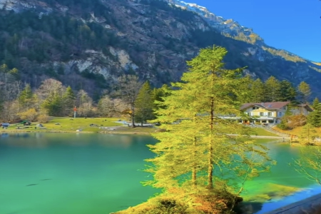 Ԣ�����h�Ĺ�˾���Q