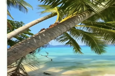 ��˾���ִ�ȫ�Є���