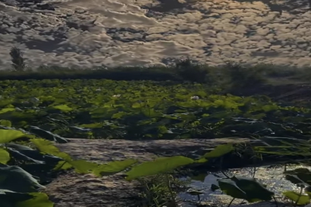 ���ĿƼ���˾ȡ����