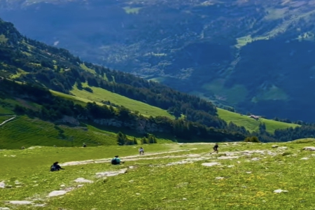 2025��߶˴�⹫˾ȡ����