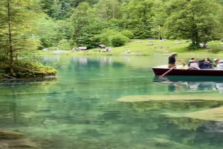 200����ؔ����Ĺ�˾����