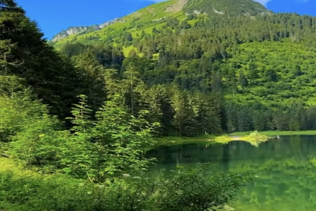 ��˾ע�����ֲ�ԃ��ȫ