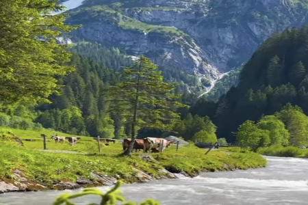 �Q�׹�˾���ִ�ȫ���