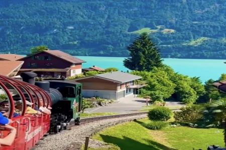 ��˾���Ĺ�˾����ע��