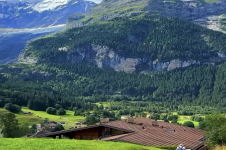 �������Ĺ�˾���ִ�ȫ