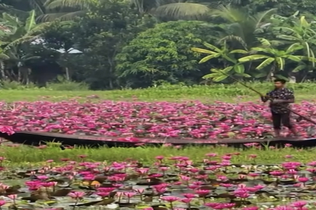 ��˾���Q��(chu��ng)�⪚(d��)��