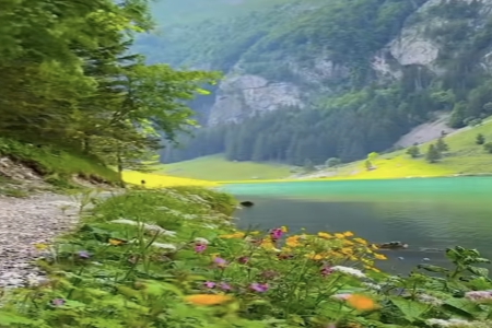 �� ���Є���Ĺ�˾����