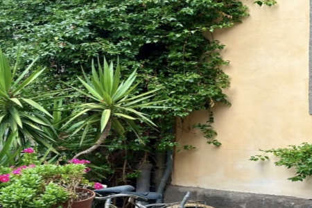 ��˾���֪��߻���