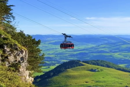 ���̹�˾ȡ���ִ�ȫ