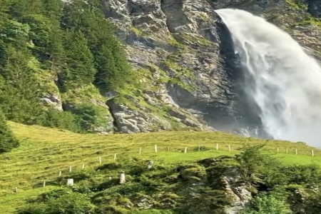 ��˾������Ԣ��õ���