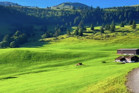 2025��Ĺ�˾���QԢ�⼪��