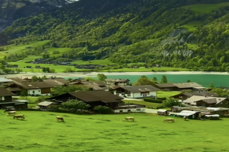 2025年電子公司起名大全