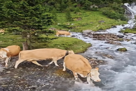 2025�������_��˾����