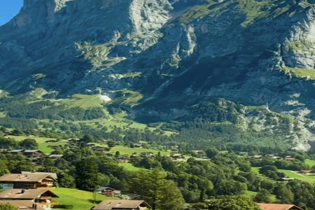 Ԣ��õĄ�(w��)��˾���Q