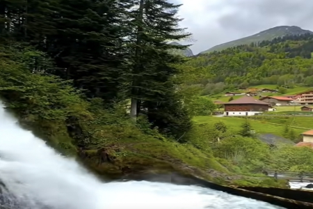 ������ؔ��Ĺ�˾����