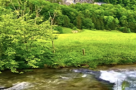 2025ע�Ժ� �Ĺ�˾���Q