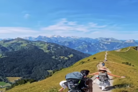 2025��������˾������Щ