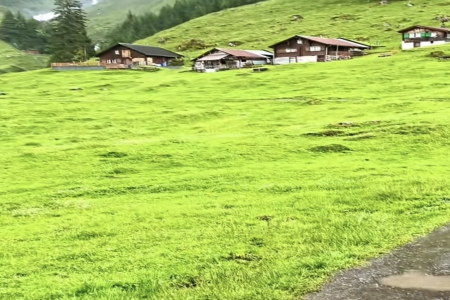 ���޹�˾�����Qȡʲô��