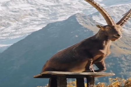 �� 혿ڵĹ�˾���Q