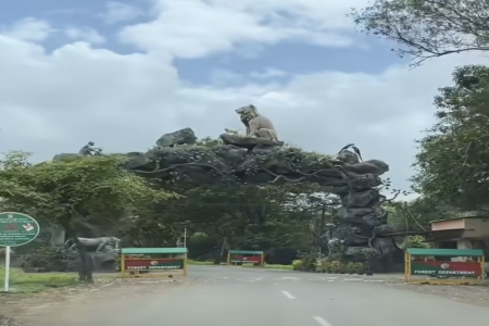 ��˾������ԭ�t�ͷ���