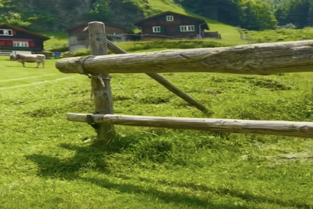 2025���ЃȺ��Ĵ��~��˾����