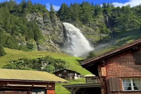 �� �������ֹ�˾��