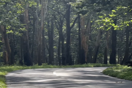 �_��˾���Q��ʲô���^��