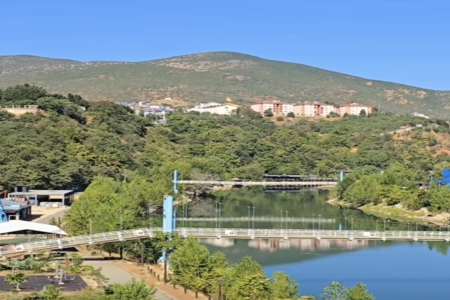 ����o�޵Ĺ�˾����