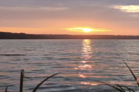 ��δ�⹫˾����