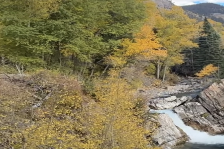 ע��2025����¹�˾���Q