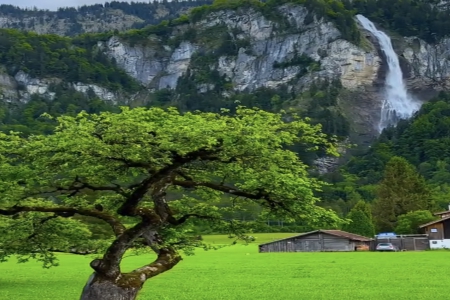 ���δ����²��Ϲ�˾���Q