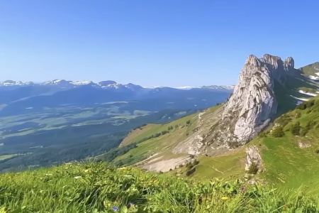 2025��ڄ�(w��)��˾�������