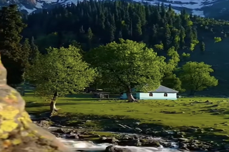 �Є�(chu��ng)��Ă�ý��˾����