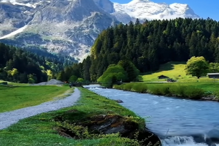 �ڄ�(w��)��ǲ��˾���ִ�ȫ