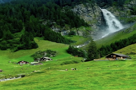 ���Q��˾����