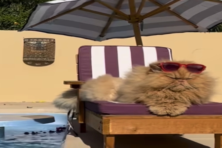 生物科技公司名字大全