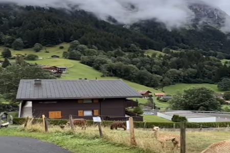 ע�Թ�˾���օ���