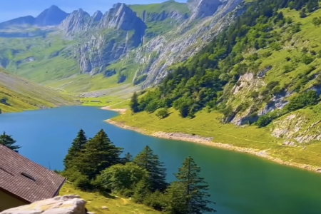 ��˾��������ô����ؔ�\