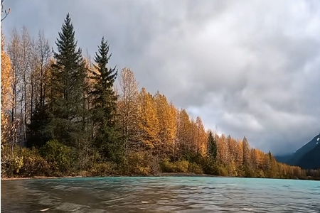 �Q�׹�˾ע������