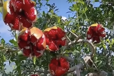 ������˾������