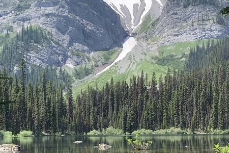 �h����˾ȡʲô���ֺ�