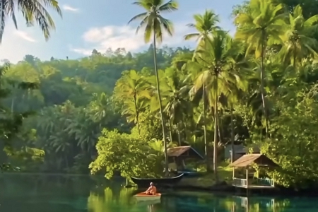 ������˾���ִ�ȫ����