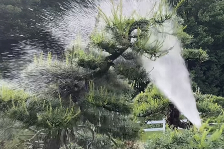 �w���Ļ��l(f��)չ��˾������ȫ