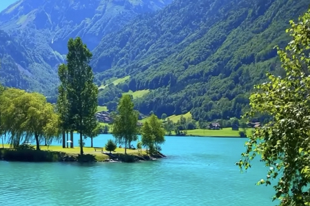 �f���_�^�Ĺ�˾����