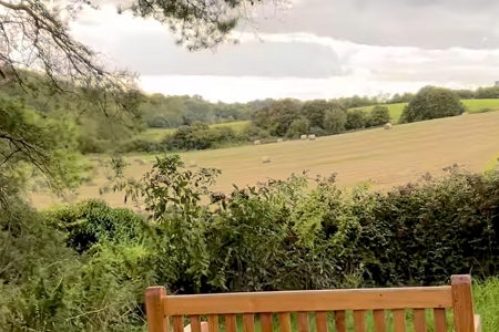 С�Ƽ���˾����