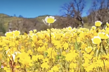 �Ƽ���˾����ܛ��